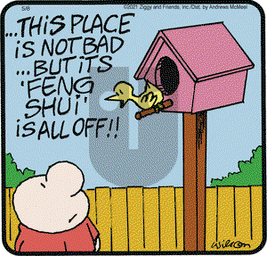 Ziggy on Saturday May 8, 2021 Comic Strip