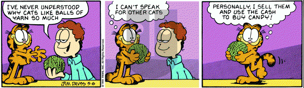 Garfield on Thursday May 6, 1993 Comic Strip