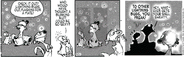 Over the Hedge on Monday May 31, 2004 Comic Strip