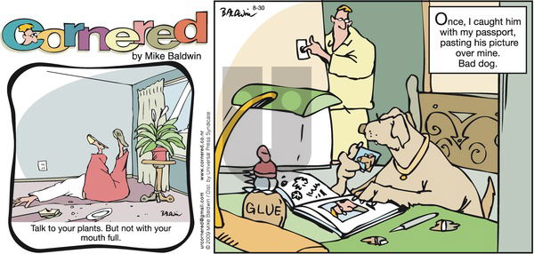 Cornered on Sunday August 30, 2009 Comic Strip