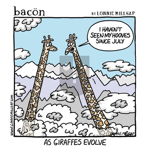 bacon on Friday May 30, 2025 Comic Strip