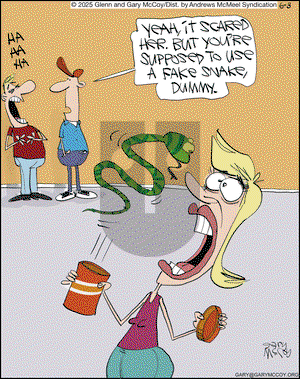 The Flying McCoys on Tuesday June 3, 2025 Comic Strip