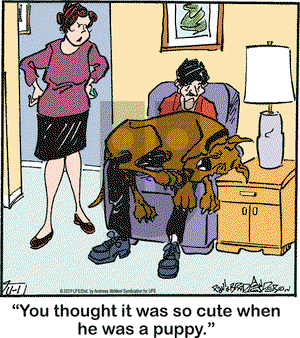 Marmaduke on Friday November 1, 2019 Comic Strip