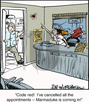 Marmaduke on Wednesday June 30, 2010 Comic Strip