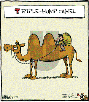 Reality Check on Wednesday May 27, 2020 Comic Strip