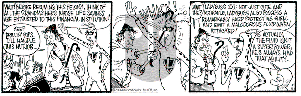 Monty on Friday May 5, 2006 Comic Strip