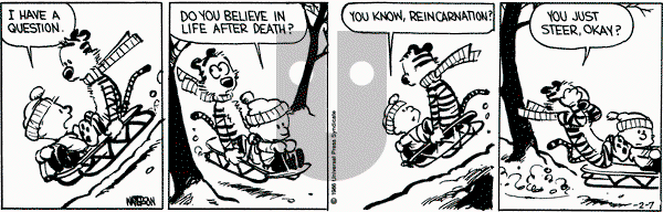 Calvin and Hobbes on Friday February 7, 1986 Comic Strip