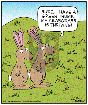 Half Full on Tuesday August 5, 2014 Comic Strip