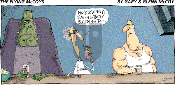 The Flying McCoys on Sunday October 25, 2009 Comic Strip