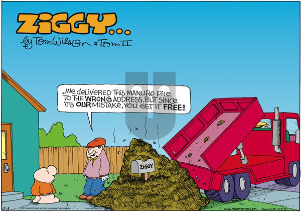 Ziggy on Sunday December 3, 2000 Comic Strip