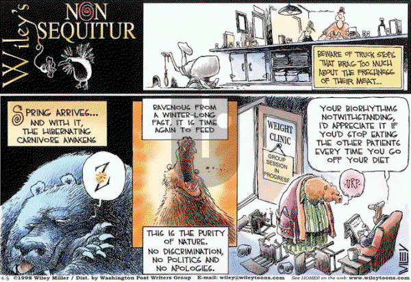 Non Sequitur on Sunday April 5, 1998 Comic Strip