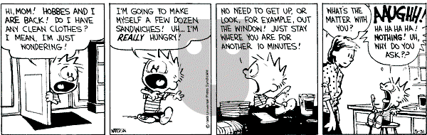 Calvin and Hobbes - Wednesday May 31, 1989 Comic Strip