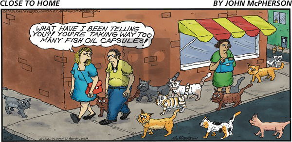 Close to Home on Sunday August 3, 2025 Comic Strip