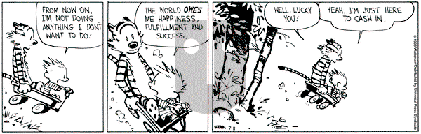 Calvin and Hobbes on Thursday July 8, 1993 Comic Strip