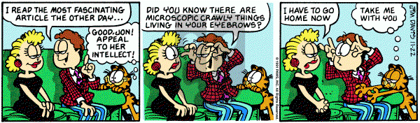 Garfield on Friday November 22, 1991 Comic Strip
