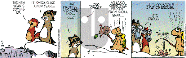 Over the Hedge on Wednesday December 16, 2009 Comic Strip