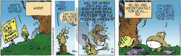 Over the Hedge on Monday November 10, 2008 Comic Strip
