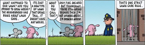 Pearls Before Swine on Monday December 28, 2009 Comic Strip
