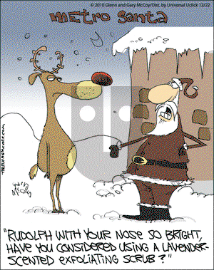 The Flying McCoys on Wednesday December 22, 2010 Comic Strip