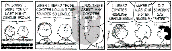 Peanuts on Tuesday August 25, 1992 Comic Strip