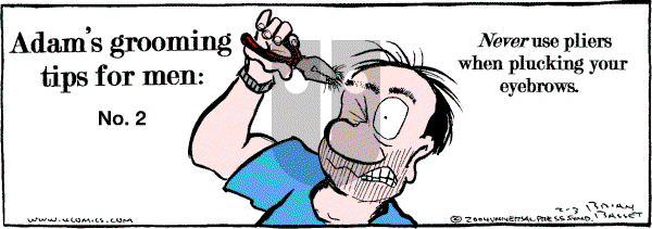 Adam@Home on Tuesday February 3, 2004 Comic Strip