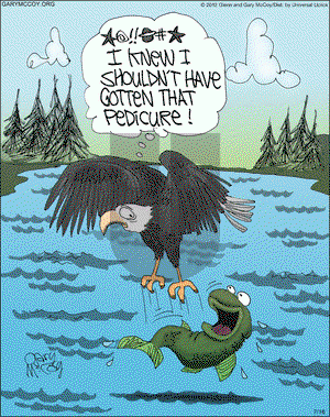 The Flying McCoys on Monday July 16, 2012 Comic Strip