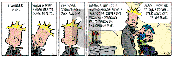 Frazz on Saturday February 10, 2007 Comic Strip