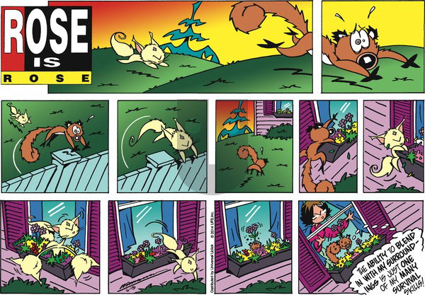Rose is Rose on Sunday June 15, 2014 Comic Strip