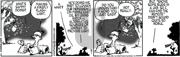 Over the Hedge on Tuesday June 1, 2004 Comic Strip