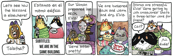 Breaking Cat News on Wednesday February 5, 2020 Comic Strip