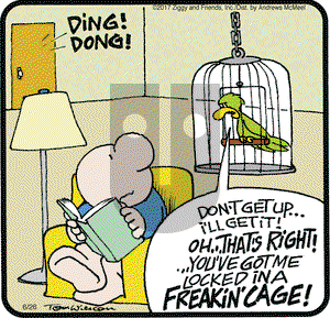 Ziggy on Monday June 26, 2017 Comic Strip