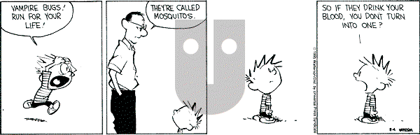 Calvin and Hobbes - Friday August 4, 1995 Comic Strip