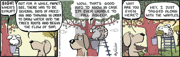 DeFlocked on Wednesday March 18, 2009 Comic Strip