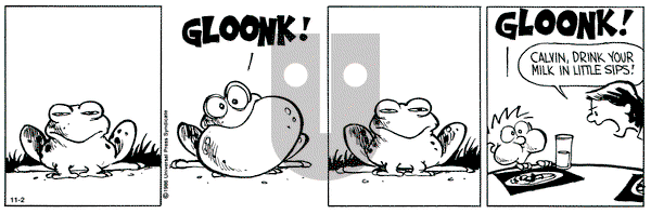Calvin and Hobbes on Saturday November 2, 1991 Comic Strip