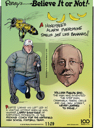 Ripley's Believe It or Not on Friday November 29, 2019 Comic Strip