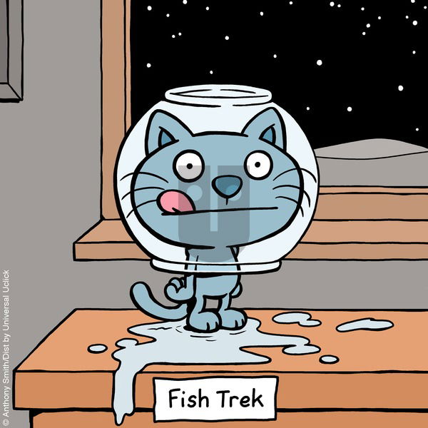 Cattitude — Doggonit on Sunday June 8, 2025 Comic Strip