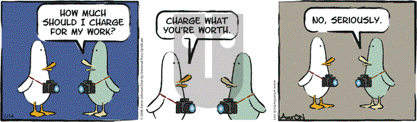 W.T. Duck on Wednesday January 14, 2009 Comic Strip