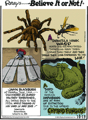 Ripley's Believe It or Not on Monday October 15, 2012 Comic Strip