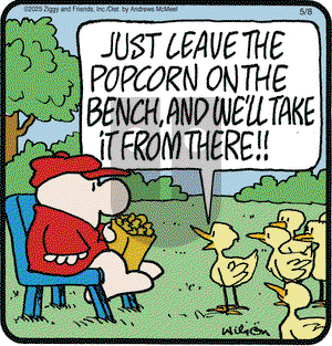 Ziggy on Thursday May 8, 2025 Comic Strip