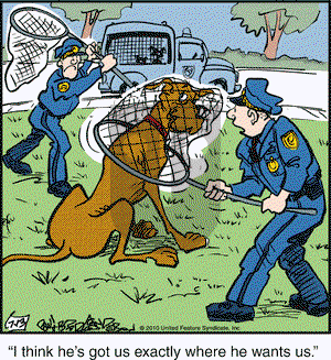 Marmaduke on Tuesday July 13, 2010 Comic Strip