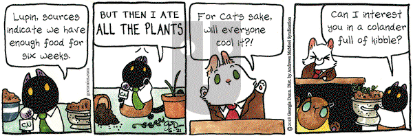 Breaking Cat News on Thursday June 21, 2018 Comic Strip
