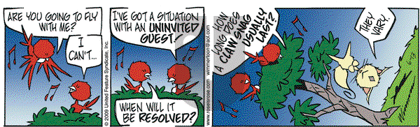 Rose is Rose on Saturday June 13, 2009 Comic Strip