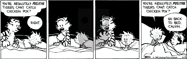 Calvin and Hobbes - Friday June 15, 1990 Comic Strip