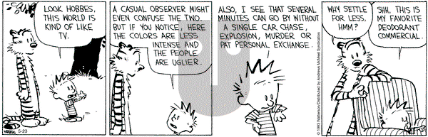 Calvin and Hobbes - Tuesday May 23, 2023 Comic Strip