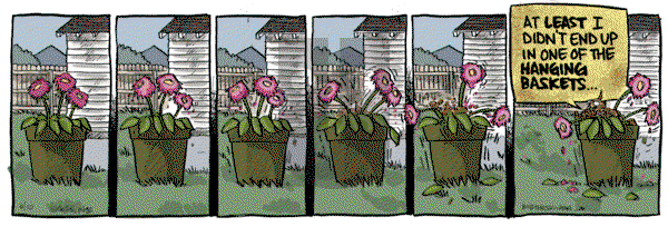 Bob the Squirrel on Tuesday June 10, 2025 Comic Strip