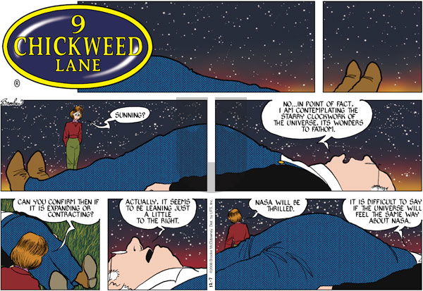 9 Chickweed Lane on Sunday December 7, 2008 Comic Strip