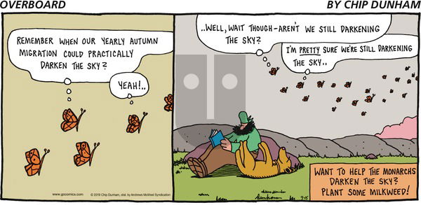 Overboard on Sunday September 15, 2019 Comic Strip