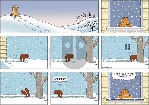 Garfield on Sunday January 19, 2020 Comic Strip