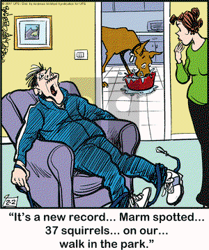 Marmaduke - Thursday February 2, 2023 Comic Strip