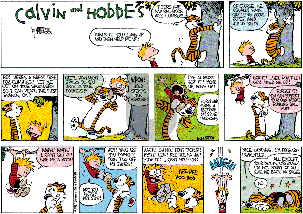 Calvin and Hobbes - Sunday July 26, 1987 Comic Strip
